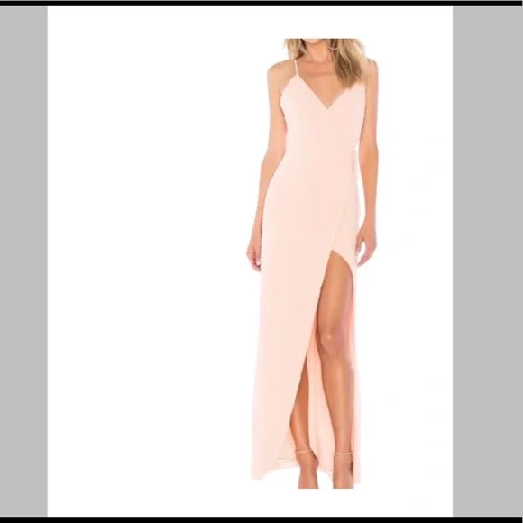 Privacy Please Rasika Gown in Blush Small and Medium Size - Picture 12 of 16